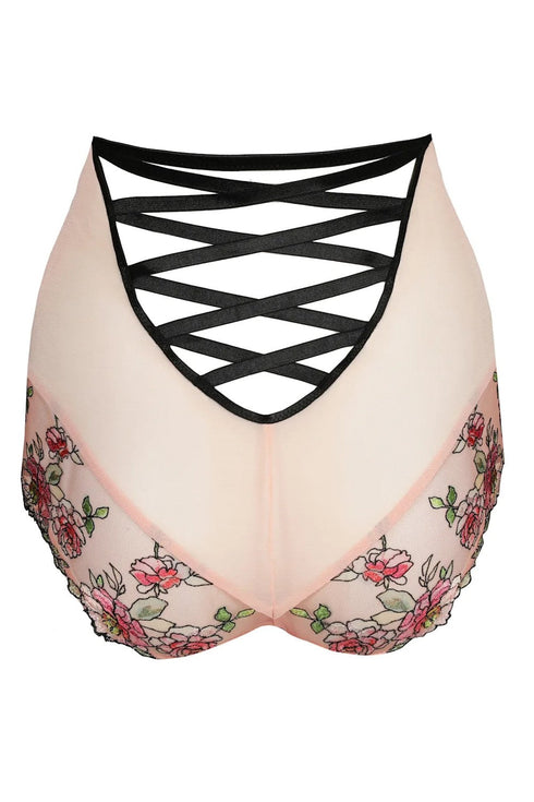 PrimaDonna Eraclea Special Briefs